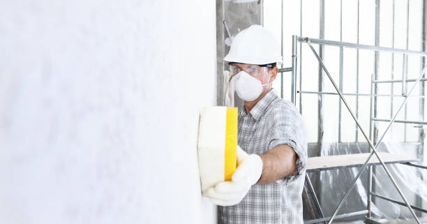 Reliable Leith Hatfield, PA Mold Removal Solutions